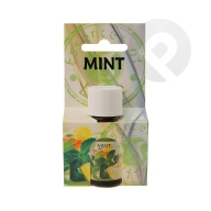 Olejek zapachowy Mint