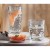 Komplet 4 niskich szklanek Estrella 305 ml PASABAHCE
