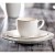 Filiżanka porcelanowa ze spodkiem do espresso 100ML BARI PLATIN VILLA ITALIA