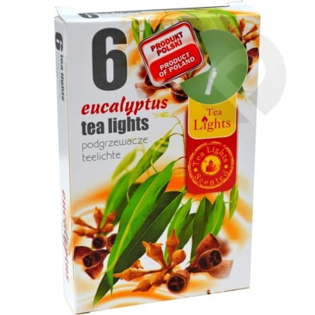Podgrzewacze zapachowe Eucaliptus