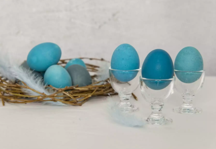 556ccaba4aad44bc3c2541681a57bd8f