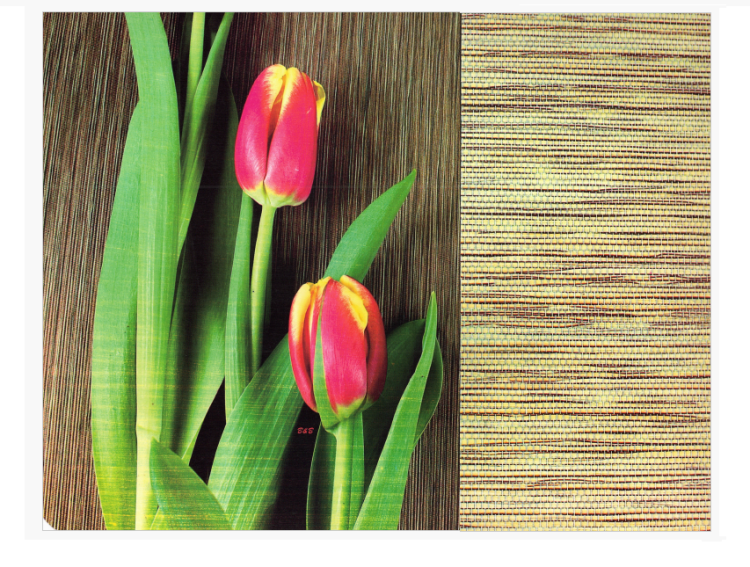 9ce2caaec271a83e18cfaacd58954611