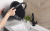 2c6b7e14bc08cd71fd638e449c91745b