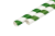 slomki-papierowe-zielone-zblizenie-768x511-removebg-preview.png