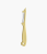 23-cytrynowy_skrobak-4639.png