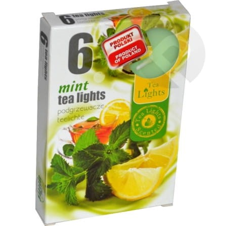 Podgrzewacze zapachowe  Mint