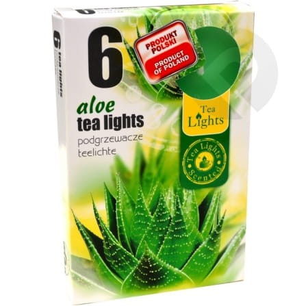 Podgrzewacze zapachowe Aloe